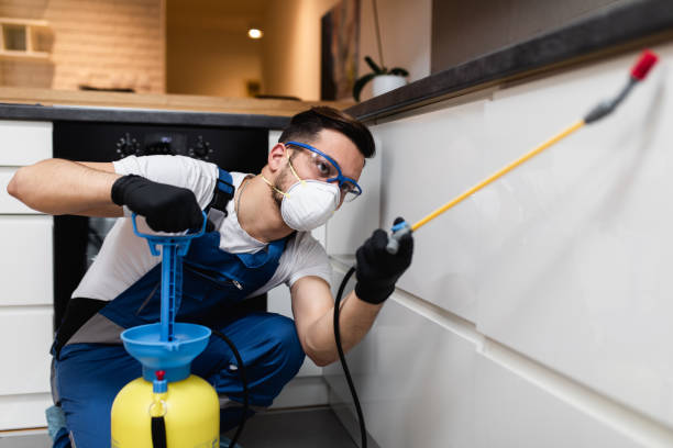 Best Residential Pest Control  in Elizabethtown, NC