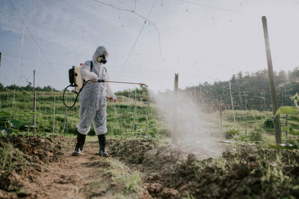 Best Best Pest Control Companies  in Elizabethtown, NC