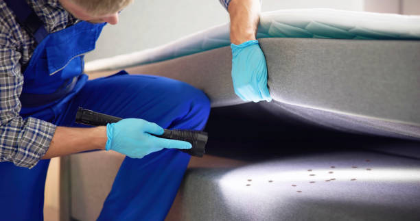 Best Termite Control Services  in Elizabethtown, NC